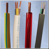 Tw Copper Wire PVC Insulated Electrical Wire for Building and House