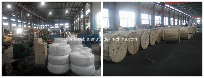 Hot Sale South America UL Ce Nylon Sheathed Thhn Thwn Cable