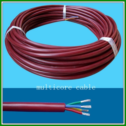300V 500V 1kv 10kv ~ 50kv High Voltage 180degreetemperature Flexible Silicone Silicon Wire Rubber Cable