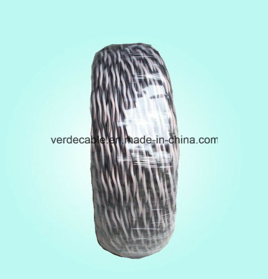 Twisted Electric Building Wire Tw PVC Insulated Cable for Battery Charge and Construction