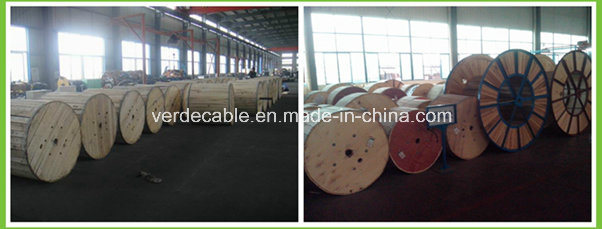 Aluminum Overhead Power Cable Bare Greased AAC AAAC Steel Reinforce Wire Conductor ACSR