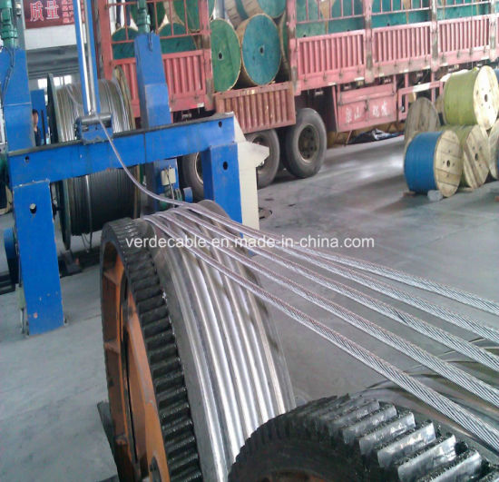 BS ASTM Hot Sale America Africa ACSR Conductor