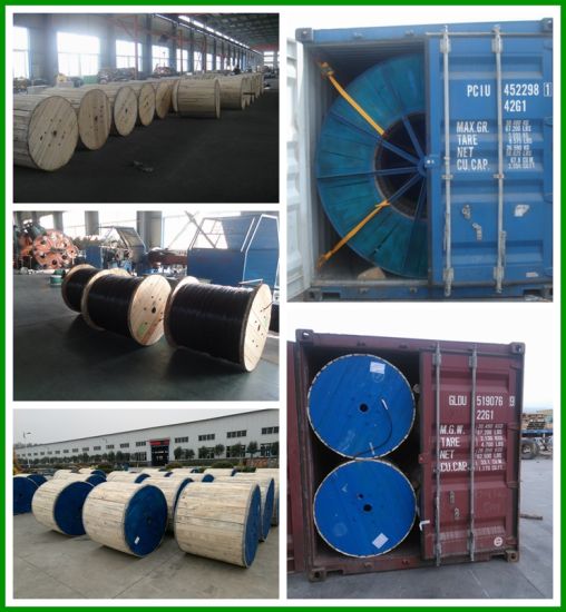 RoHS PVC UTP CAT6 Network Data Cable