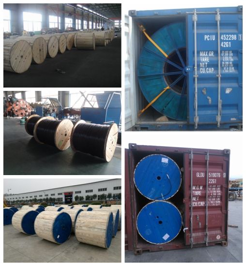 RoHS PVC Insulated LSZH Sheath Copper Earth Ground Green Yellow Electric Wire Electrical Cable