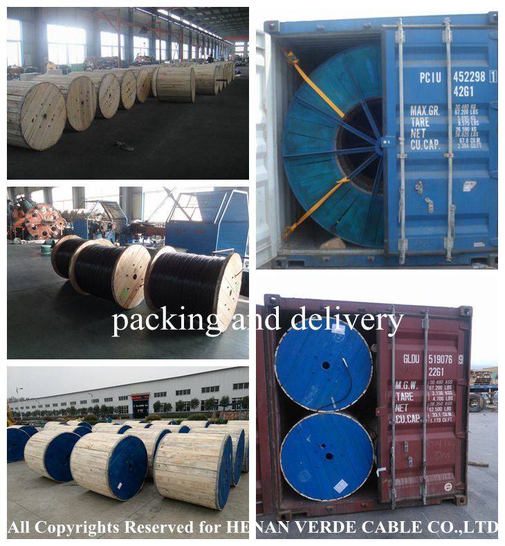 0.6/1kv 4core X185mm XLPE PVC Insulated Flame Resisant Sheath Sta Swa Armored Electric Power Cable