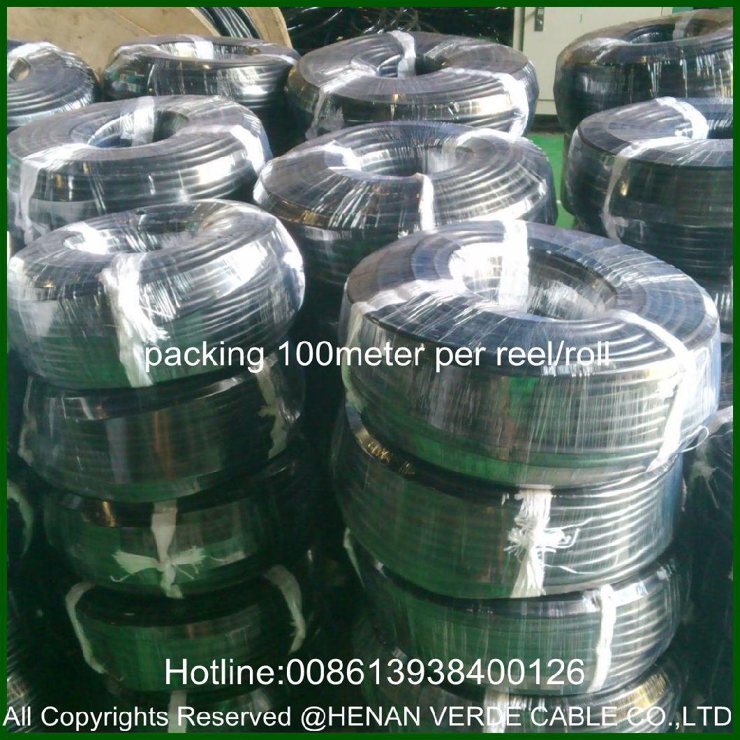 0.6/1kv Fire Resistant AWG #1/0 #2/0 Nylon Coated Building Household Cable Thhn Wire
