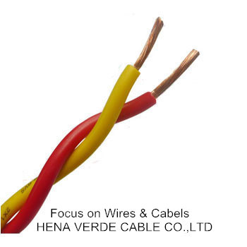 Twisted Electric Building Wire Tw PVC Insulated Cable for Battery Charge and Construction