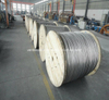 BS ASTM Hot Sale America Africa ACSR Conductor