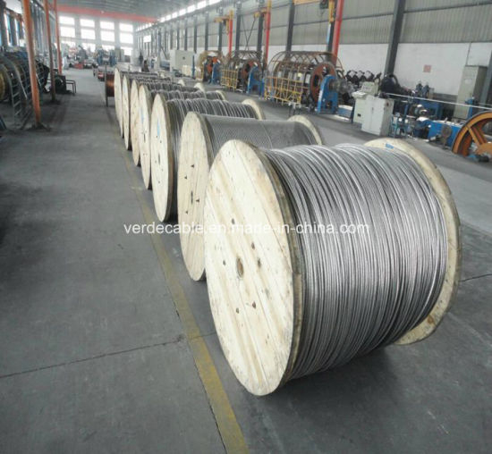 BS ASTM Hot Sale America Africa ACSR Conductor