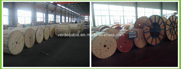 Aluminum Alloy Overhead Power Cable Bare Copper AAC ACSR AAAC Conductor