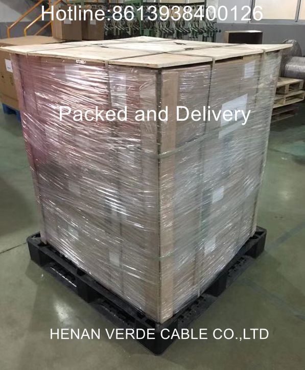 AWG 14 16# 18# 20# 2.5mm2 300V 1kv 50kvdc Hv Silicon Silicone Wire for Hv Tester Equipment
