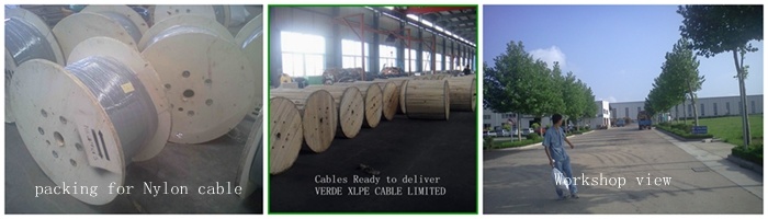 UL 10AWG #12 #6 Thhn Thwn Wire Nylon Cable for Construction