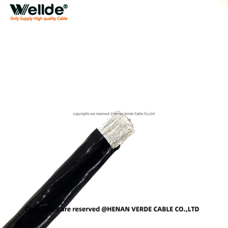 1*25mm² PTFE Wire