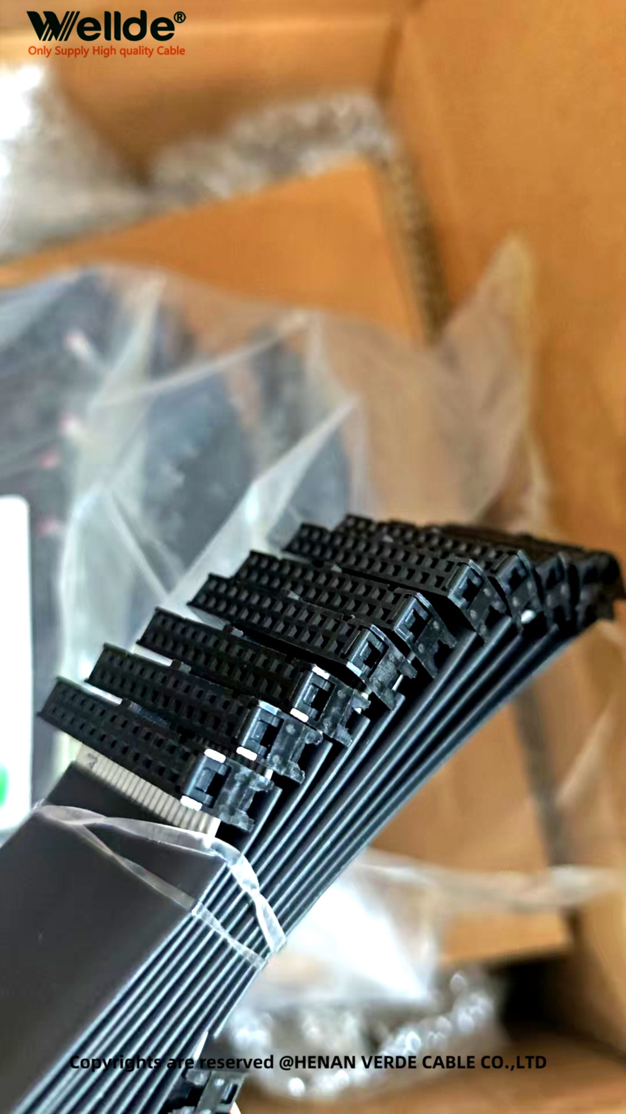 Flat Ribbon Cable