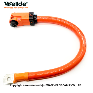 25mm High Voltage EV Storage Cable