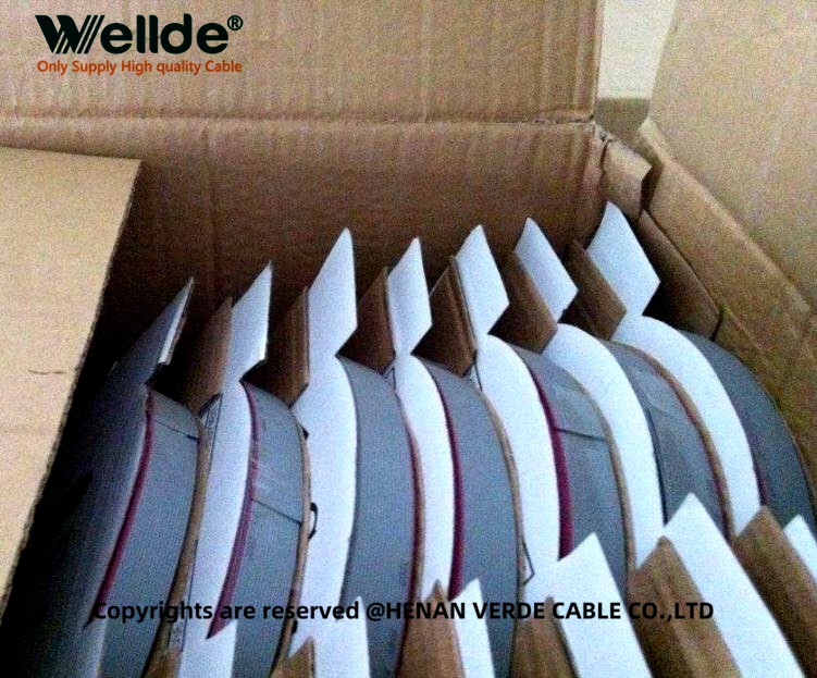 Flat Signal Cable for PCB to PCB Connection